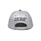 Hippop Flat Brim Snapback Hats 3D Embroidered Silvery 5 Panel Cap