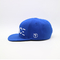 Adult Flat Brim Snapback Hats Plastic Closure 6 Panels Blue Color