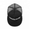 Plain Sport Embroidered Flat Brim Snapback Hats 100% Polyester Material 56-60cm