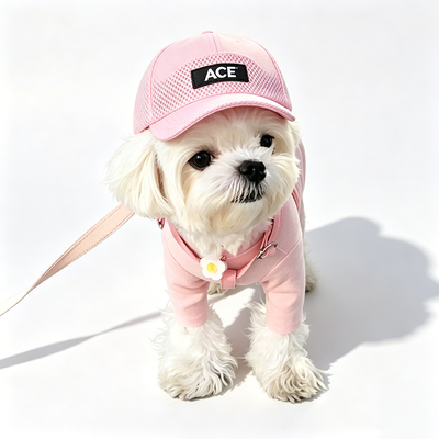 50 Grams Cotton Cute Pet Hat Versatile Design Matches Various Outfits and Pet Personalities Perfect Gift