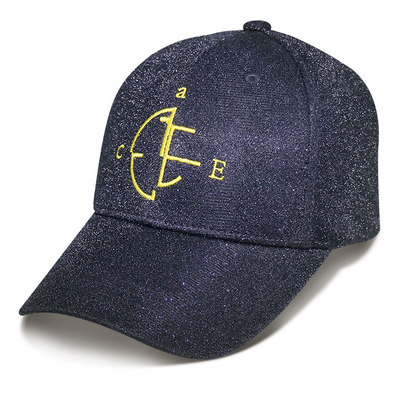 3d Embroidery Logo Polyester Baseball Caps / Outdoor Baseball Hats Comfortable