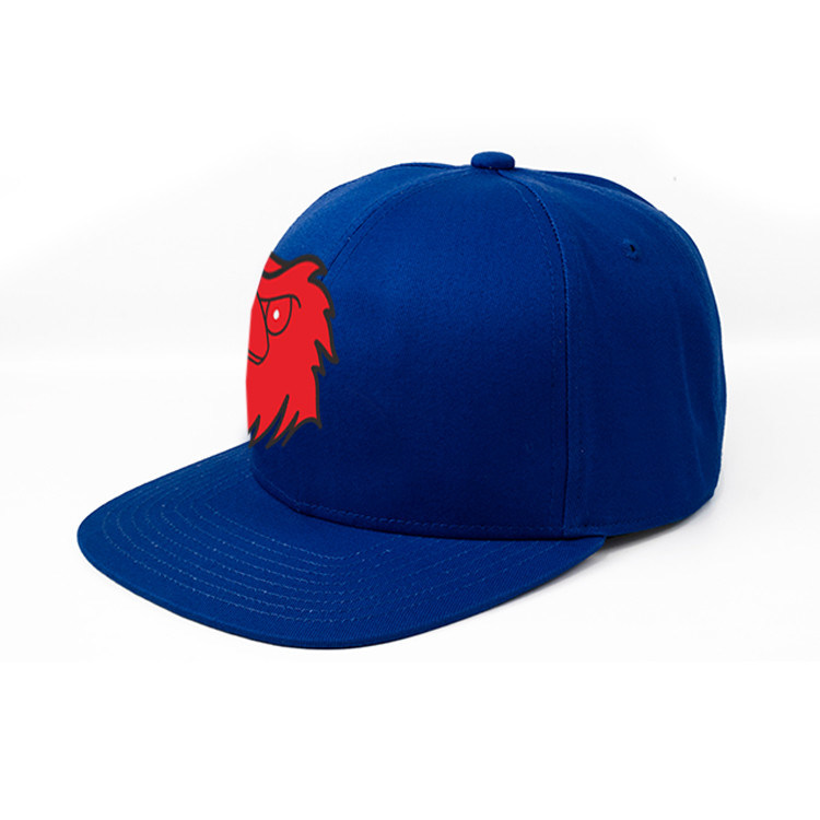 Casquette Shaun White Sw Movement Flat Brim Snapback - Blanche - Réglable