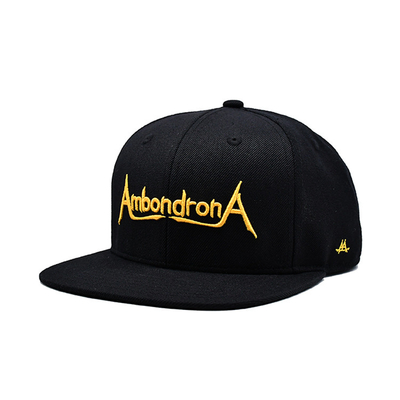 Custom Flat Brim Snapback Hats Embroidery Flat Bill Baseball Cap