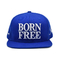 BSCI Factory Custom Hat Snapback 3d Embroidery Snap Back Caps