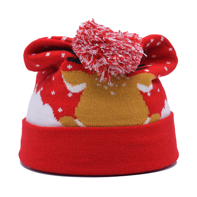 Unisex Winter Beanie Hats With Embroidery Pattern For Cold Season