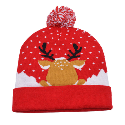 Unisex Winter Beanie Hats With Embroidery Pattern For Cold Season