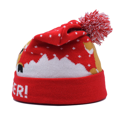 Unisex Winter Beanie Hats With Embroidery Pattern For Cold Season