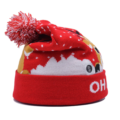 Unisex Winter Beanie Hats With Embroidery Pattern For Cold Season