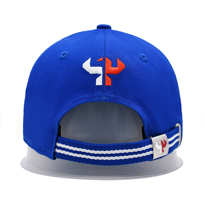 BSCI 6 Panel Classic Sport Dad Hat Embroidery Logo Blue Cotton Gorras Mens Women Baseball Cap