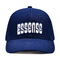 Custom High Quality 6 Panels Baseball Hat With Flat Embroidery Logo Matching Fabric Color