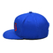 OEM ODM Customized Flat Brim 3D Embroidery Snapback Caps With Logo, Hip Hop Caps For Men