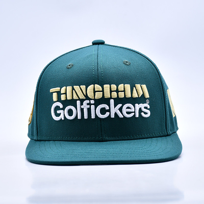 3D Embroidery Logo Stylish Quality 6 Panels Snapback Hat Hot Selling