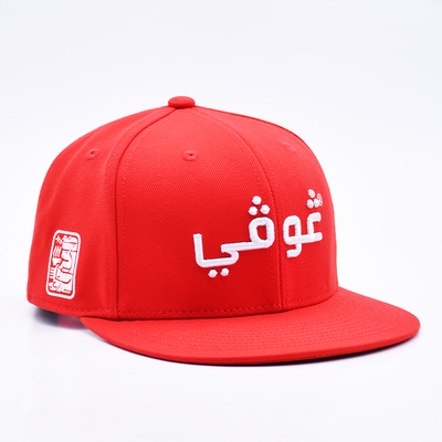 Wholesale Custom 3D Embroidery Gorra Baseball Snapback Sports Cap Outdoor Flat Brim 6 Panel Snapback Caps