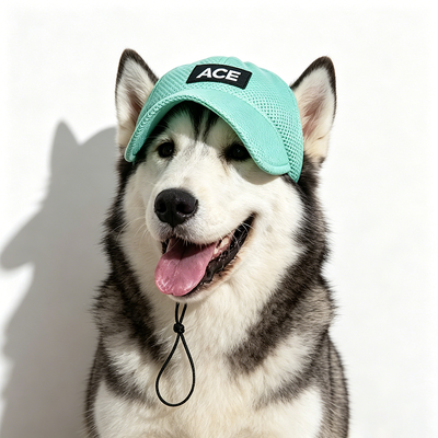 Outdoor And Indoor Pet Hat Suitable For Small Dogs Package Includes 1 X Pet Hat Adjustable Strap For Secure Fit