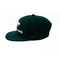 High quality Custom Made eagle printing Logo Printed Hip Hop Snapback Hats Caps