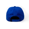 Blank Flat Brim Sports Cap Custom Color Design Snapback Hat For Adult Kid
